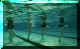 h20 aerobics.jpg (10858 bytes)